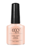 68066-Pink20Daisy.png