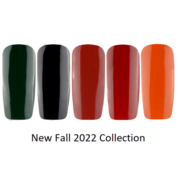 New Fall 2022 Collection