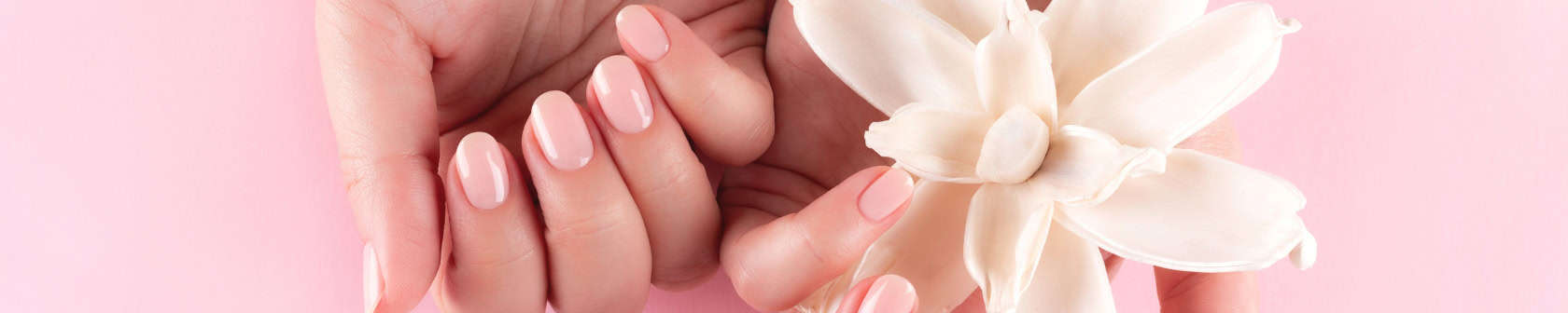 licht roze gelakte nagels met een witte bloem