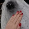 Hand op een paard met rode gellak van Gelzz "Business Sophisticated"