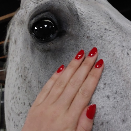 Hand op een paard met rode gellak van Gelzz "Business Sophisticated"