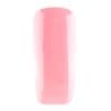 BIAB Cover Rose (1)